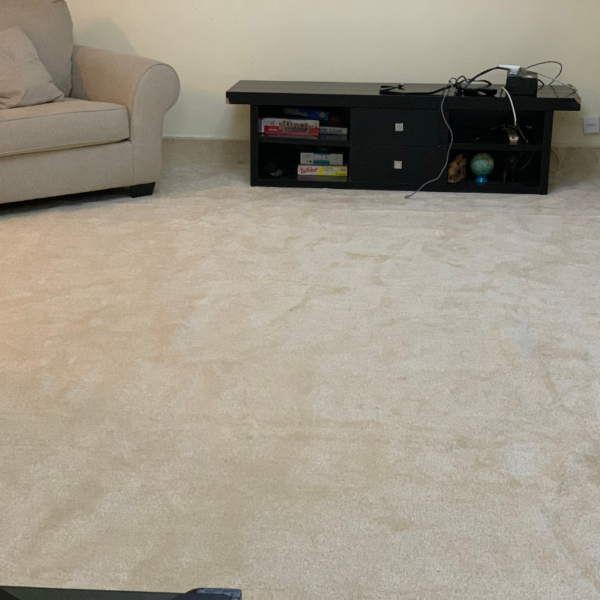 Wall to wall carpet - Image 4